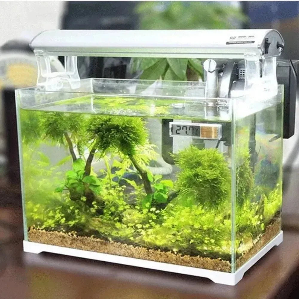 Electronic Digital Aquarium Thermometer