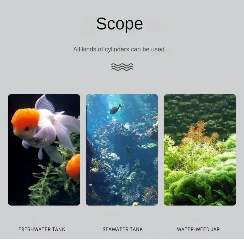 Electronic Digital Aquarium Thermometer