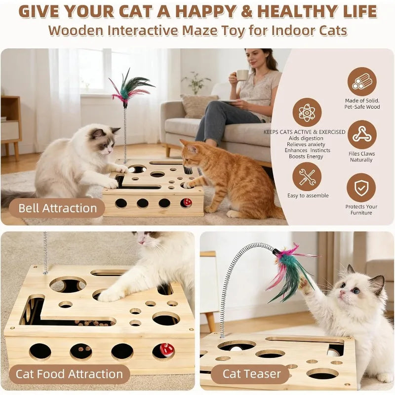 Cat Enrichment Box