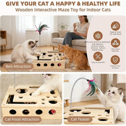 Cat Enrichment Box