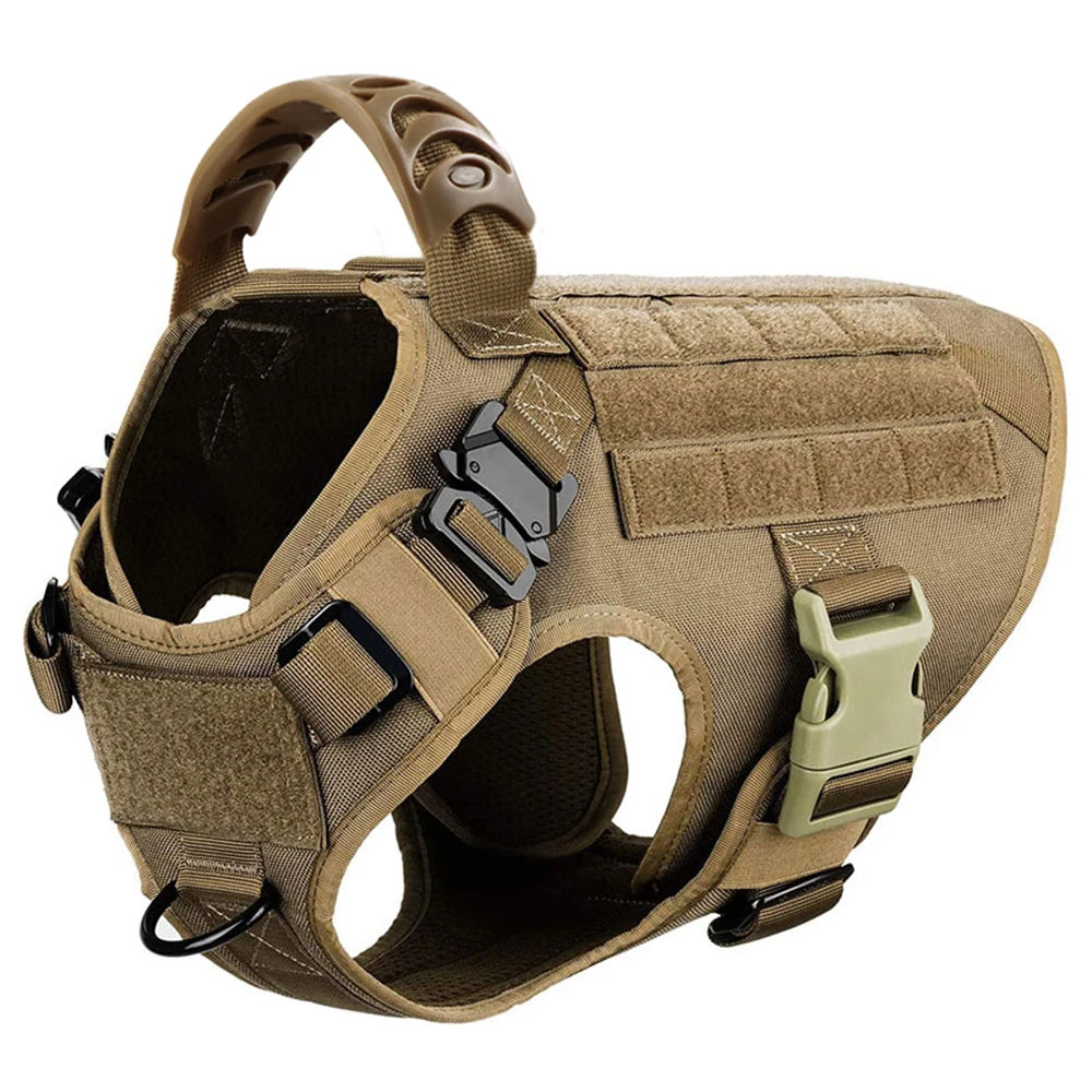 See what a difference a Malinois training and walking kit makes!  This is ideal for medium to large dogs and includes vest, harness, leash and collar plus accessories.  Because your buddy deserves it!