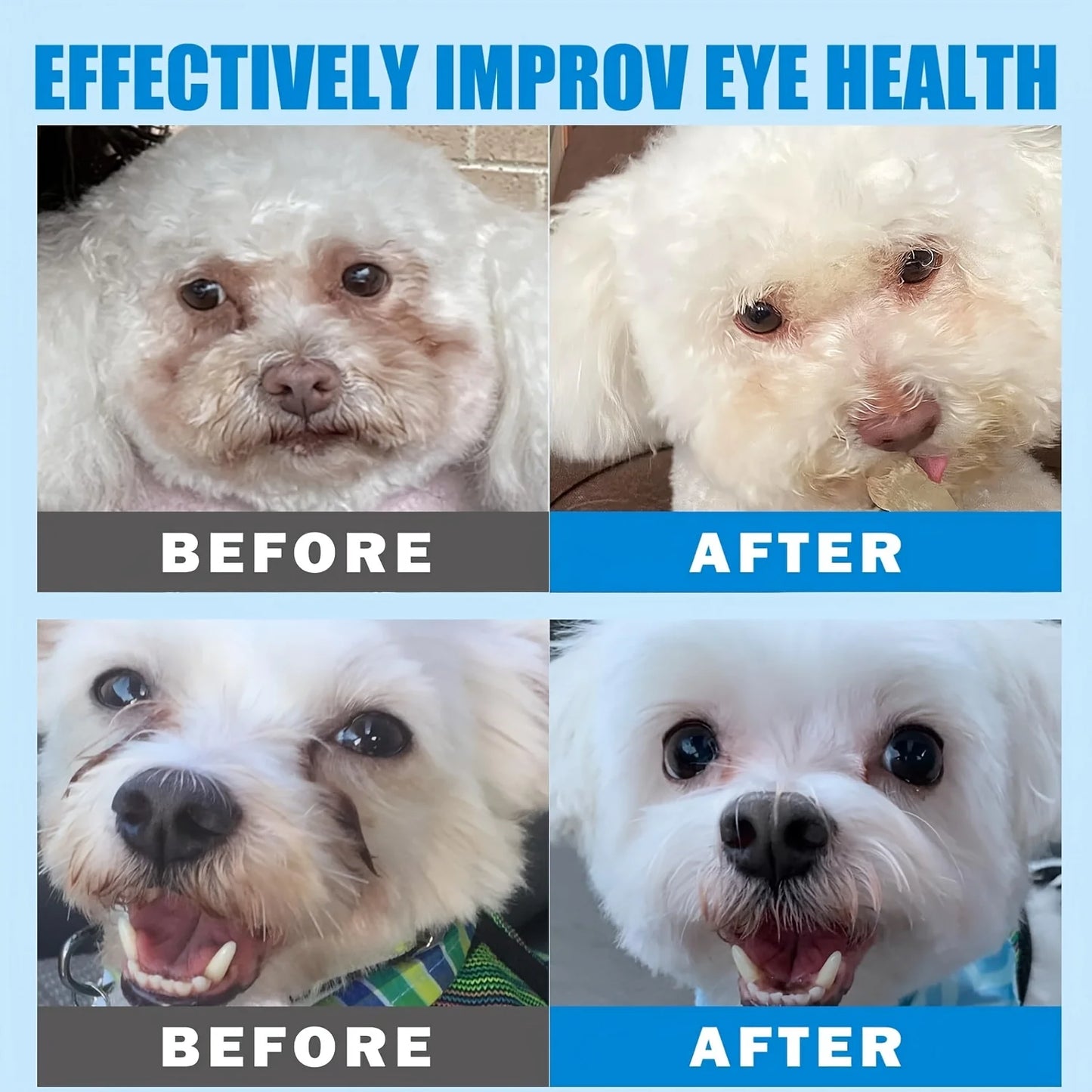 Eyes Wipes For Dogs & Cats