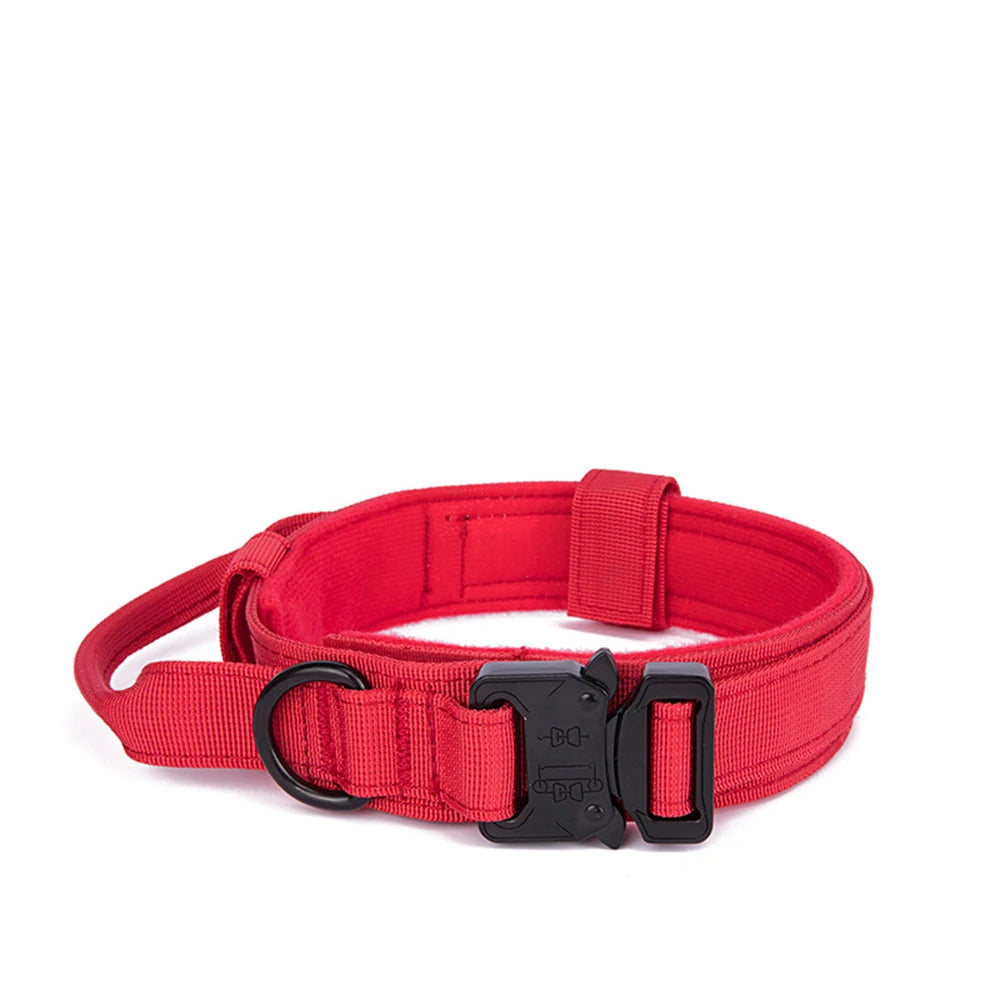 Pet Tactical Training Collar/Leash Set