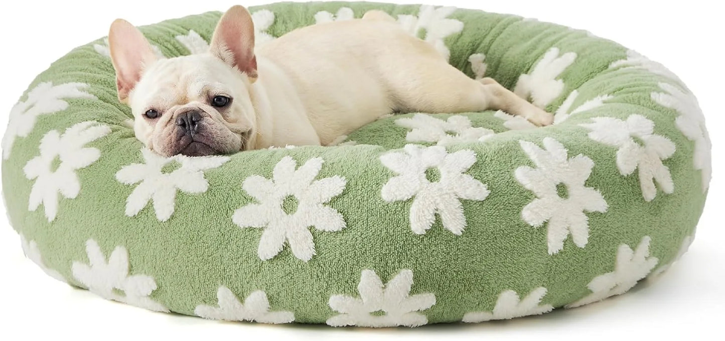 Small to Large Cat or Dog Bed