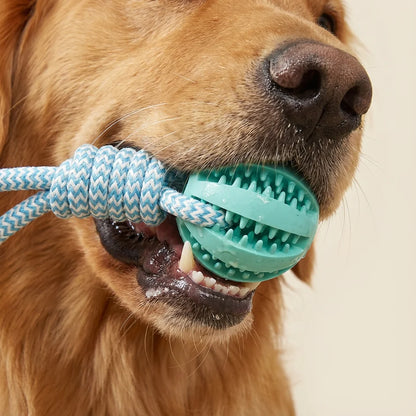 Dog Chew Ball On a Rope