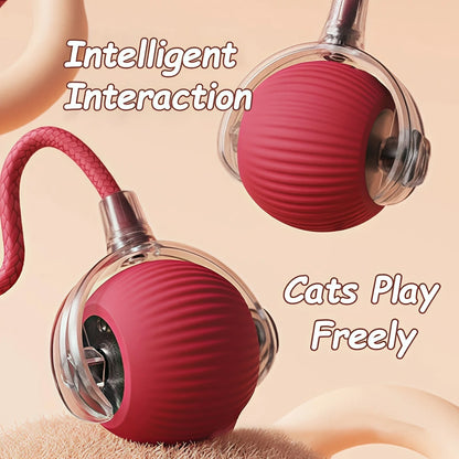Electric Interactive Ball for Dog or Cat