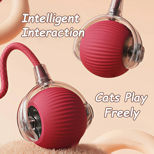 Electric Interactive Ball for Dog or Cat