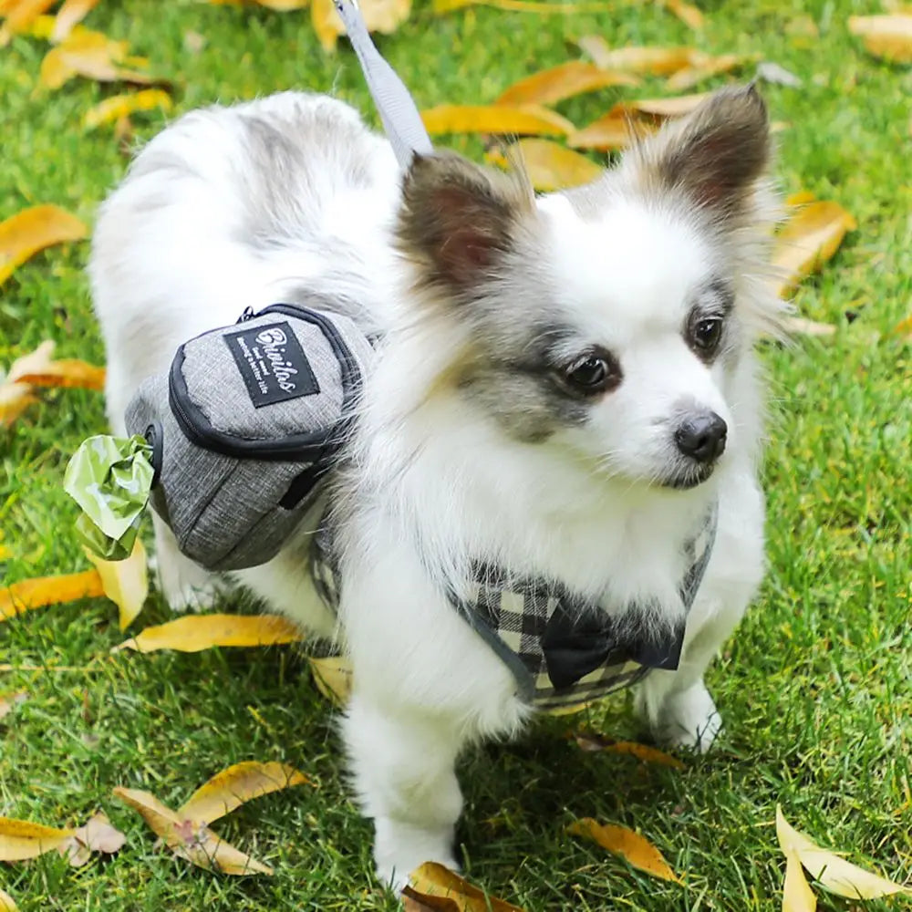 Multifunction Carrier Harness for Small  Dogs