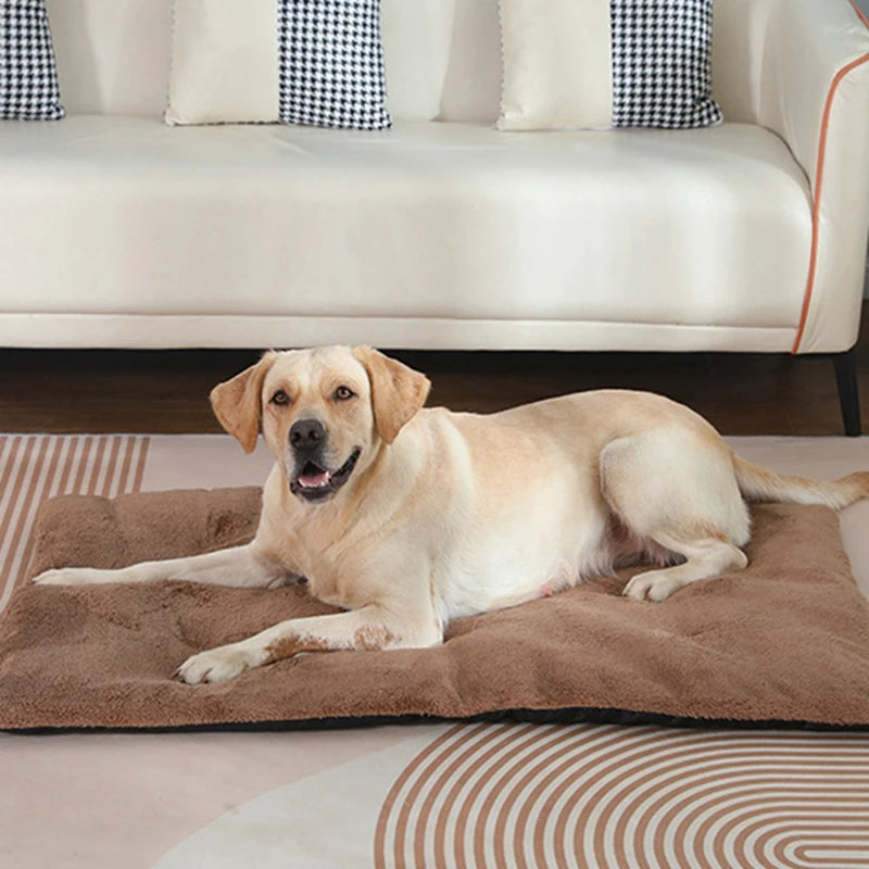 Small to Extra Large Heated Pet Beds