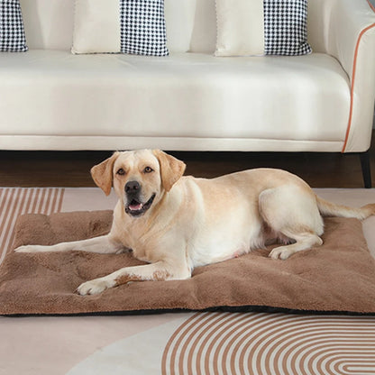 Small to Extra Large Heated Pet Beds