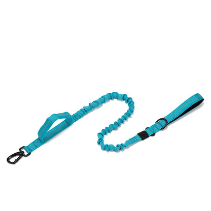 Pet Tactical Training Collar/Leash Set