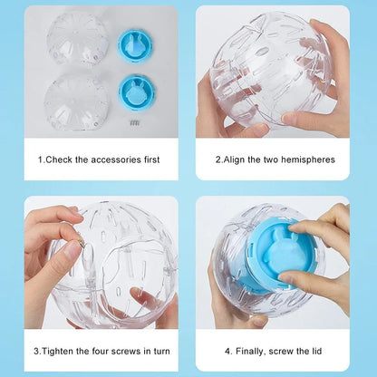 Clear plastic ball for small Pets