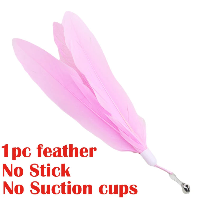 Watch the antics your cat exhibits with this feather toy!  Strong suction cup allows hands free play.