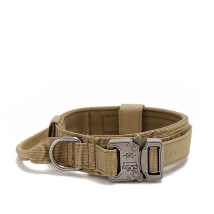 Pet Tactical Training Collar/Leash Set