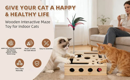 Cat Enrichment Box