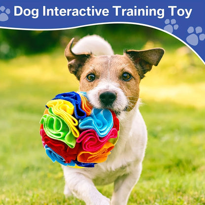 Snuffle Ball Dog Toys