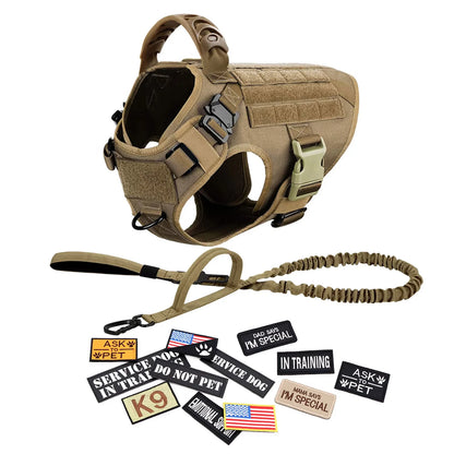 Military training outfit for large dogs includes harness, collar, leash, bags and patches.  Training vest and accessories all included.