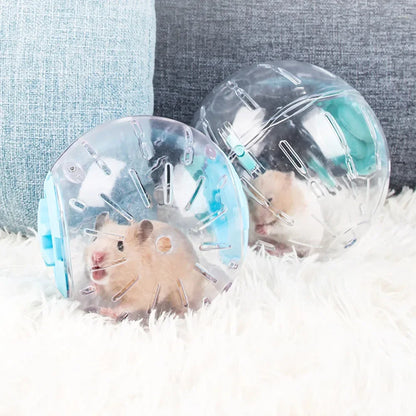 Clear plastic ball for small Pets