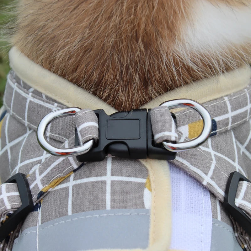 Harness Vest with Leash