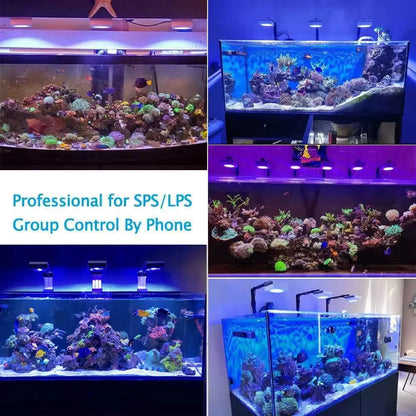 WiFi Reef Aquarium Lights