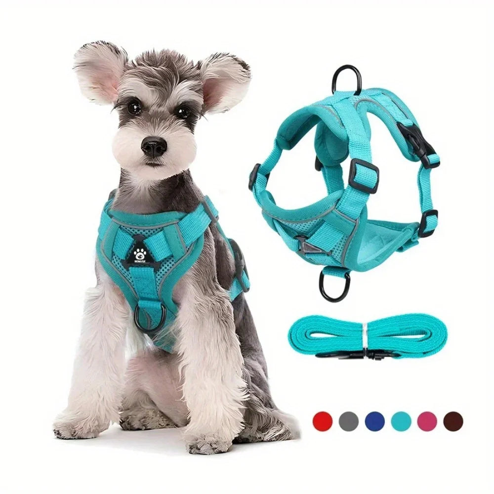 Pet Harness Vest and Leash Set