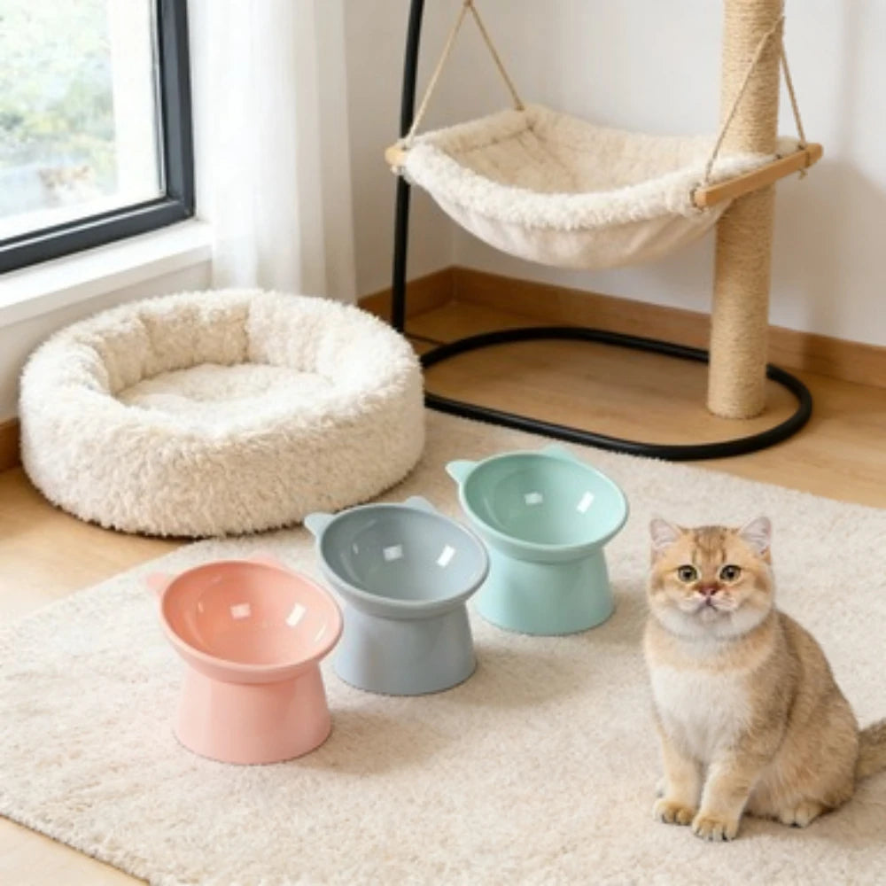 Ergonomic Elevated Cat Bowl