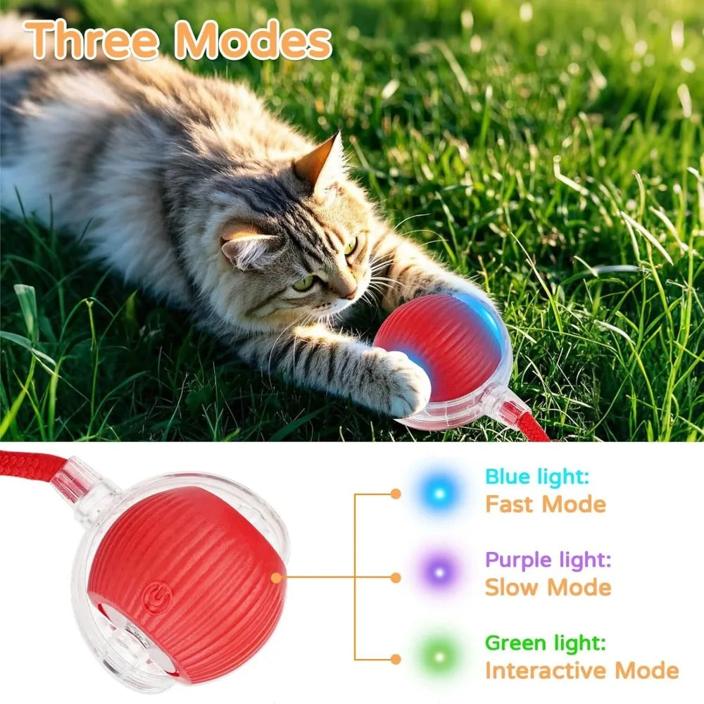 Automatic Rolling Ball