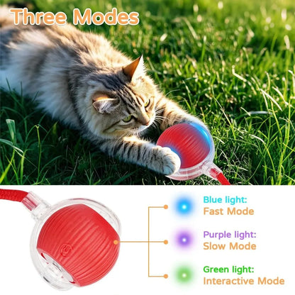 Automatic Rolling Ball