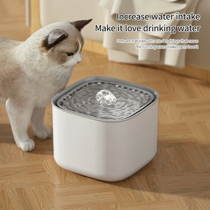 3L Electric Filtering Water Fountain for Pets