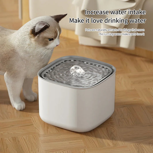 3L Electric Filtering Water Fountain for Pets