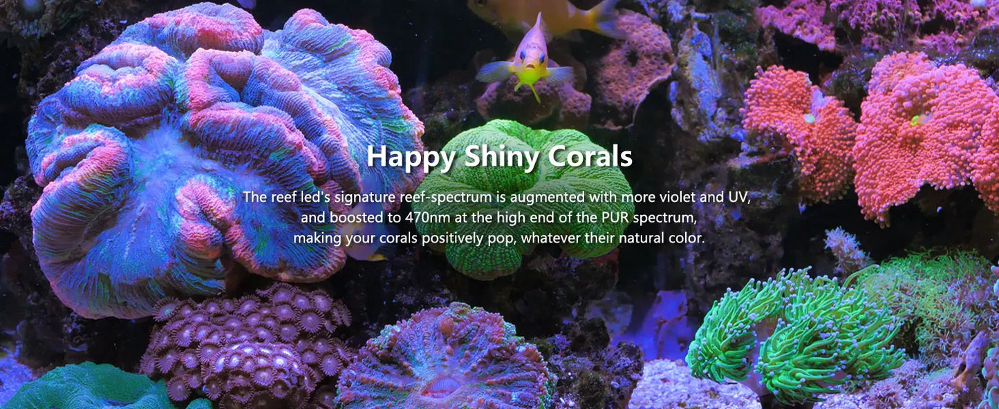 Professional Aquarium Reef Light,