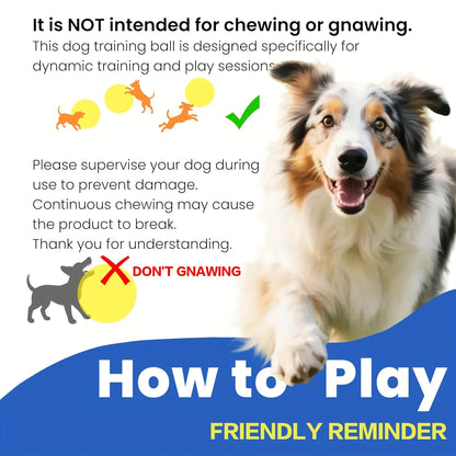 Animal Training/Herding/Playing Balls