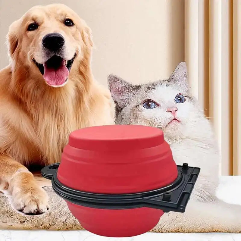 Collapsible Dog Travel Bowl
