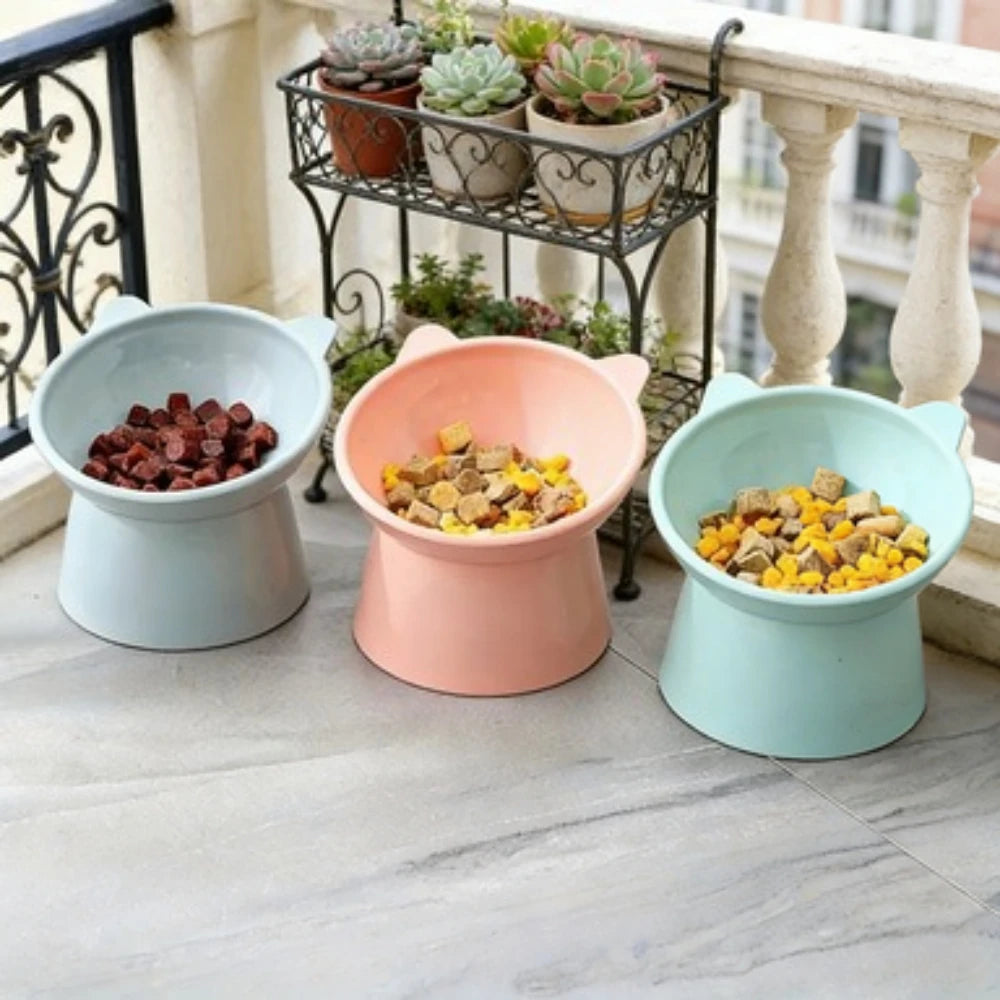 Ergonomic Elevated Cat Bowl
