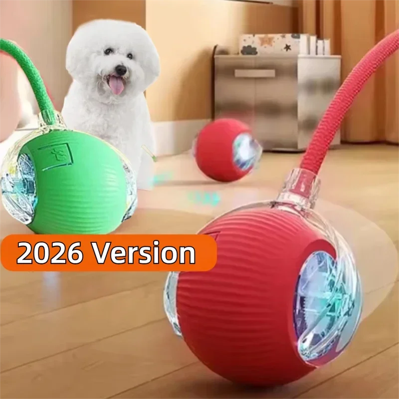Automatic Rolling Dog Ball