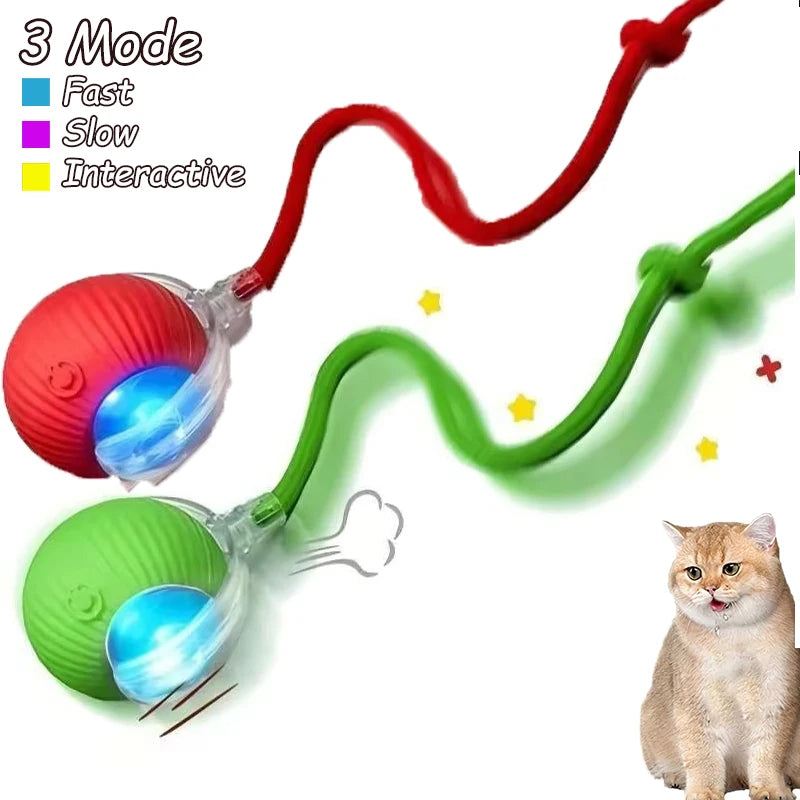 Electric 2 Pcs Cat Toy