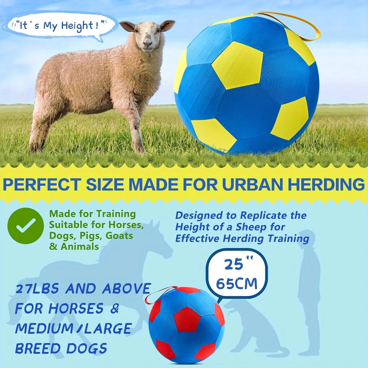 Animal Training/Herding/Playing Balls