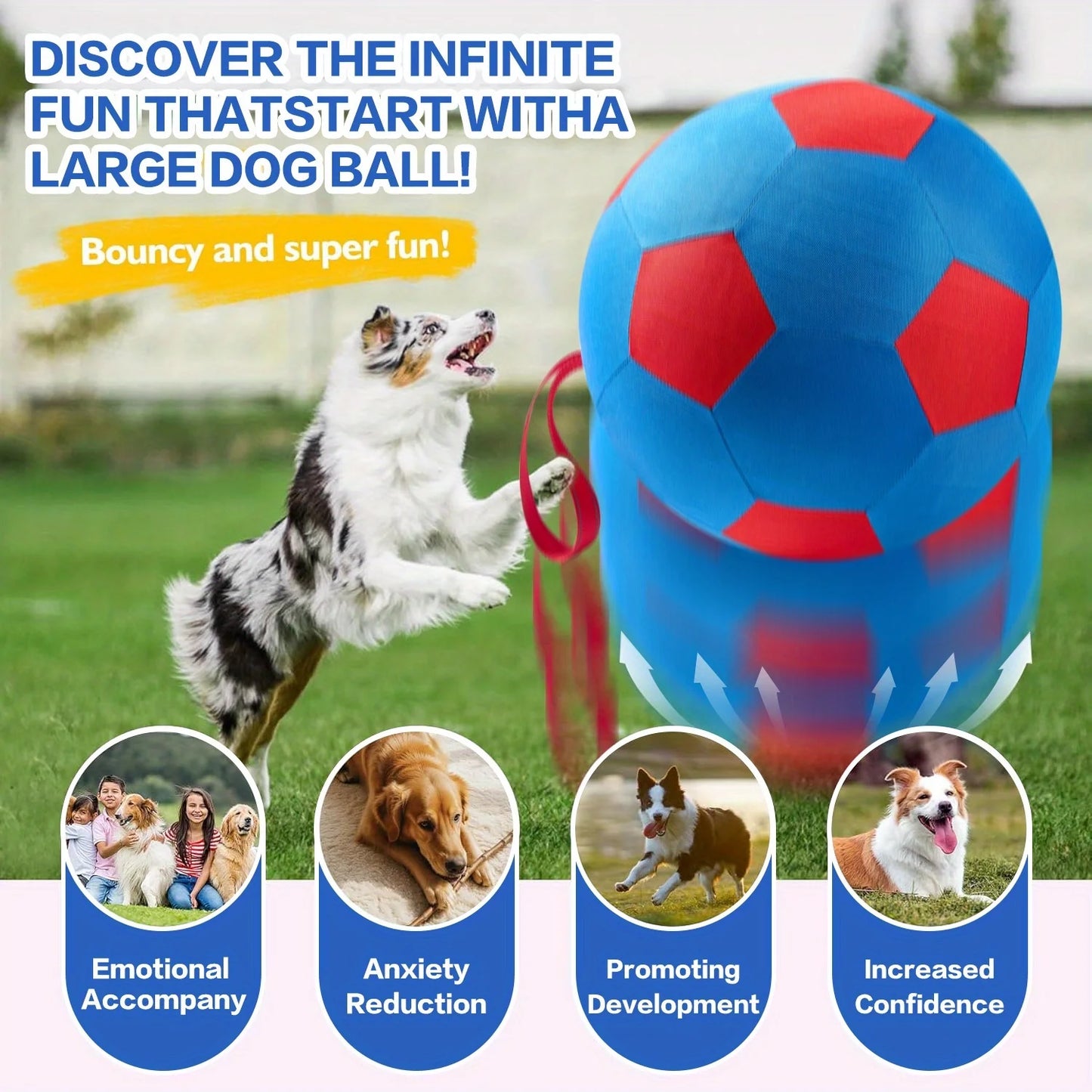 Animal Training/Herding/Playing Balls