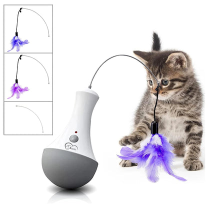 No matter if you call it 'Interactive Cat Toy', 'Funny Feather Kitten Teaser,' or 'Indoor Automatic Feather  Cat Toy'...one word says  it all...FUN!