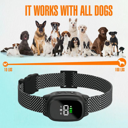Anti-Bark Collar For Small to Medium Dog