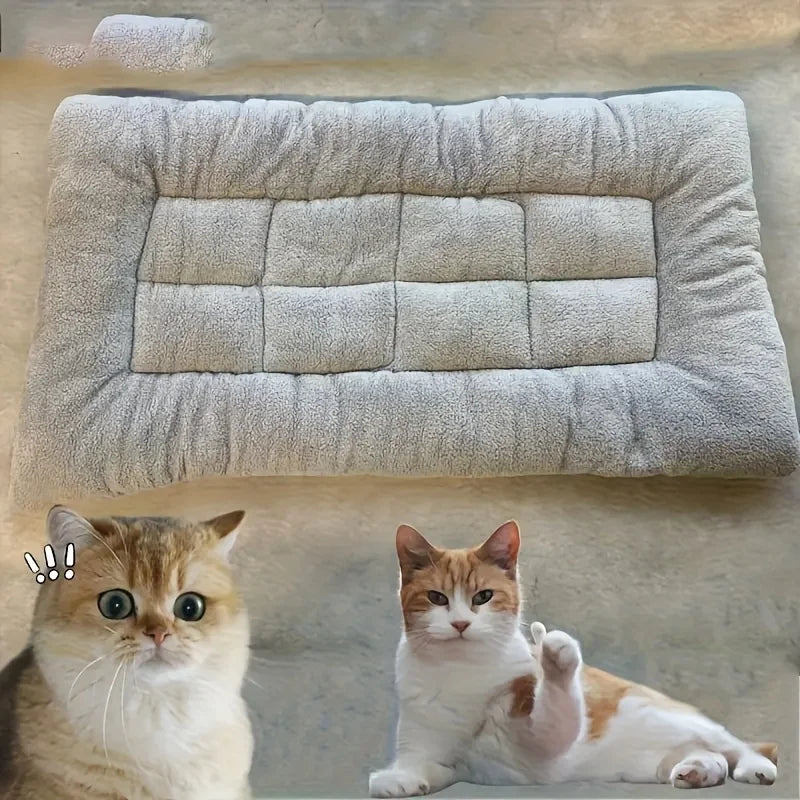 Oversized Dog Cat Bed