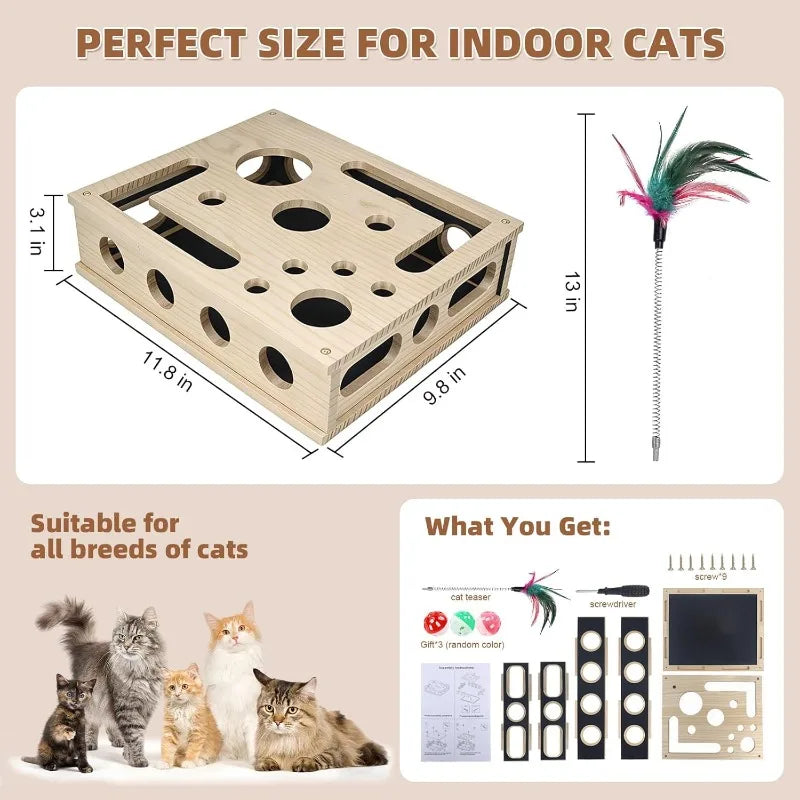 Cat Enrichment Box