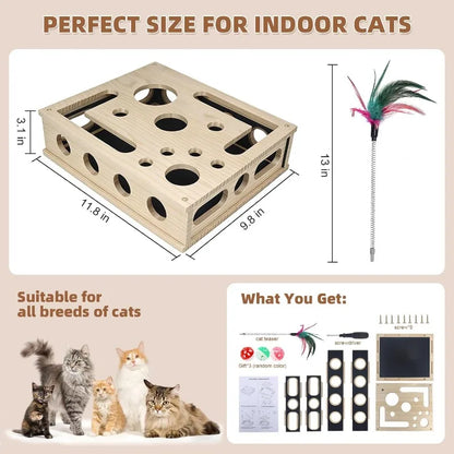 Cat Enrichment Box