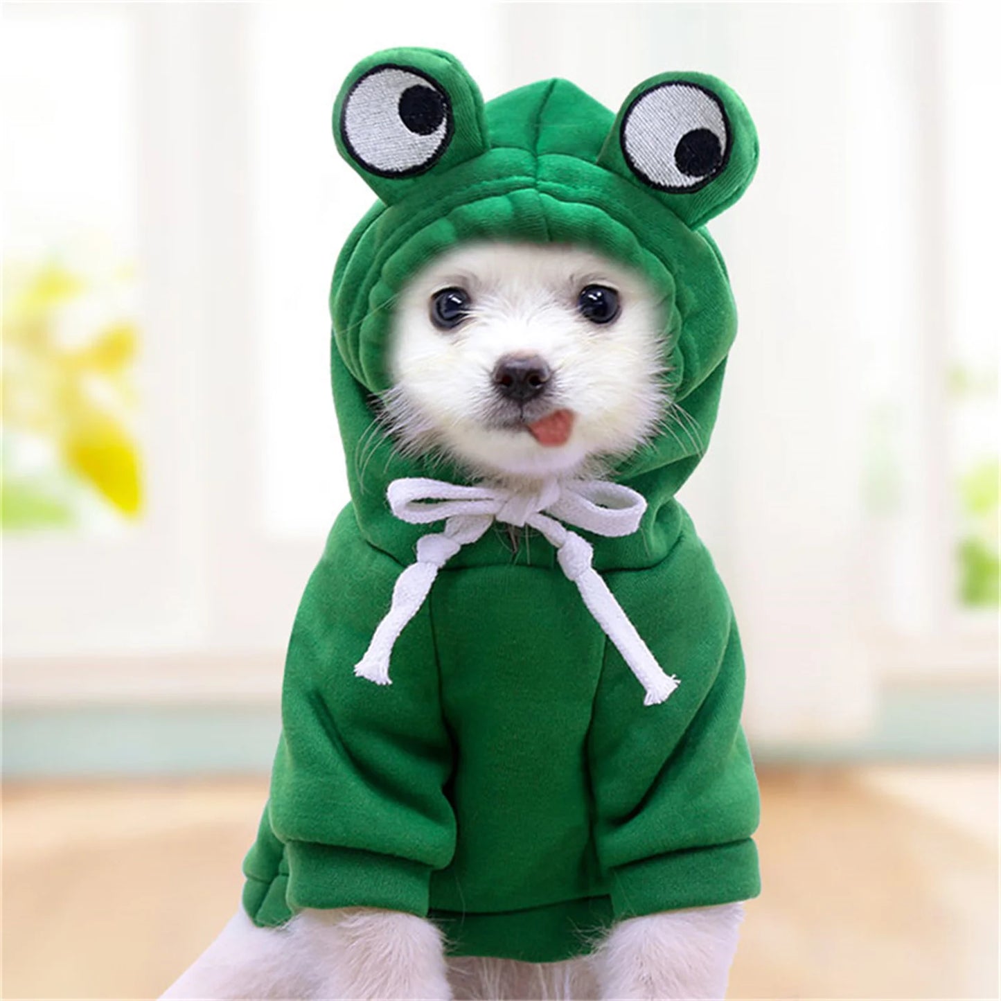 Hoodie Dog Sweater Coat