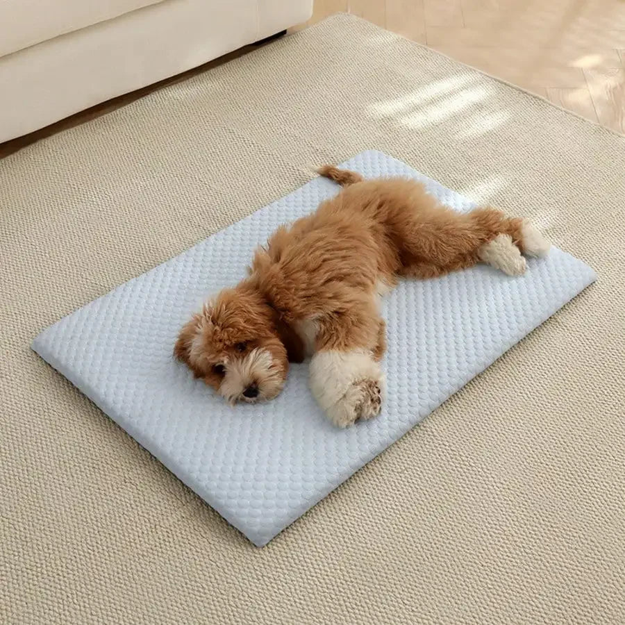 When those dog days of summer hit, your pets are as miserable as you a e.  They can't sweat so they need a little extra help.  This cooling mat is just the ticket whether your pet is canine or feline.  Granny says they all de