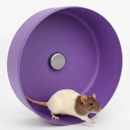 Noiseless Running Wheel for Fancy Rat, Syrian Hamsters, Hedgehogs and Small Pet