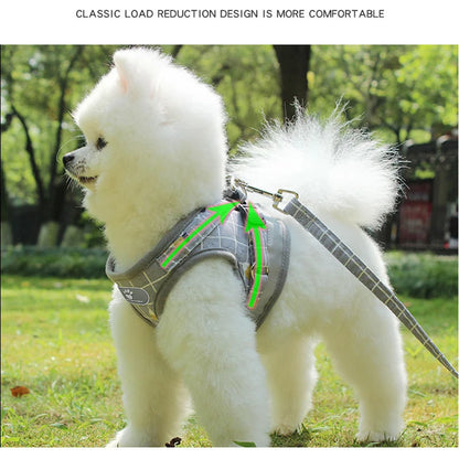 Harness Vest with Leash