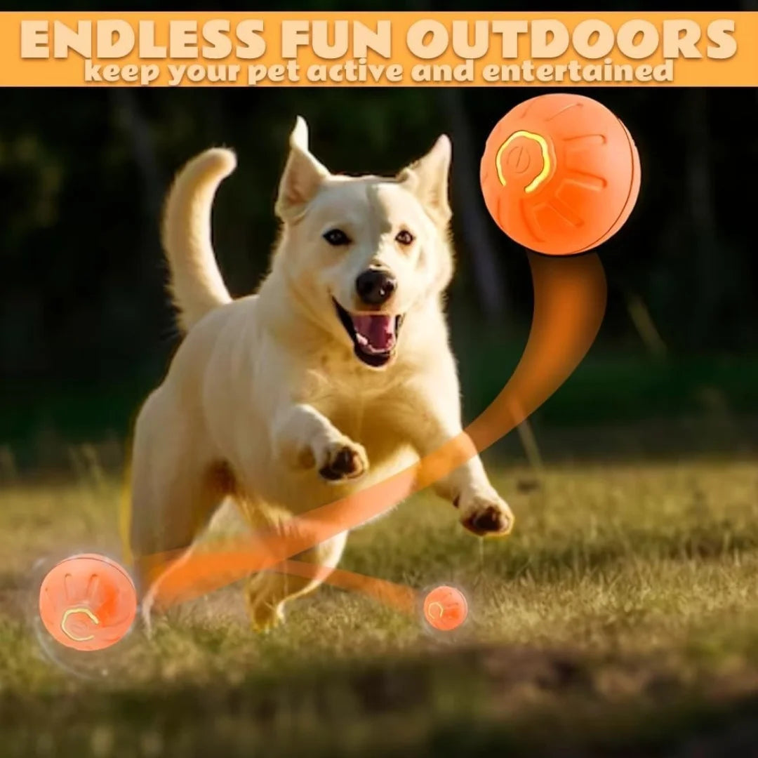 Electric And Gravity Ball For Dogs and Cats