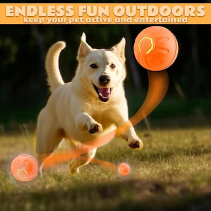Electric And Gravity Ball For Dogs and Cats
