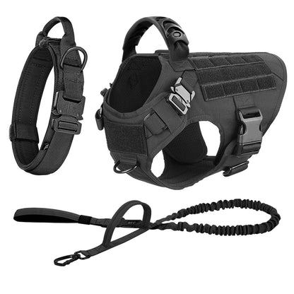 See what a difference a Malinois training and walking kit makes!  This is ideal for medium to large dogs and includes vest, harness, leash and collar plus accessories.  Because your buddy deserves it!